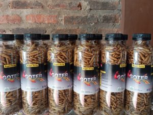 Gotter  (maggot kering super)